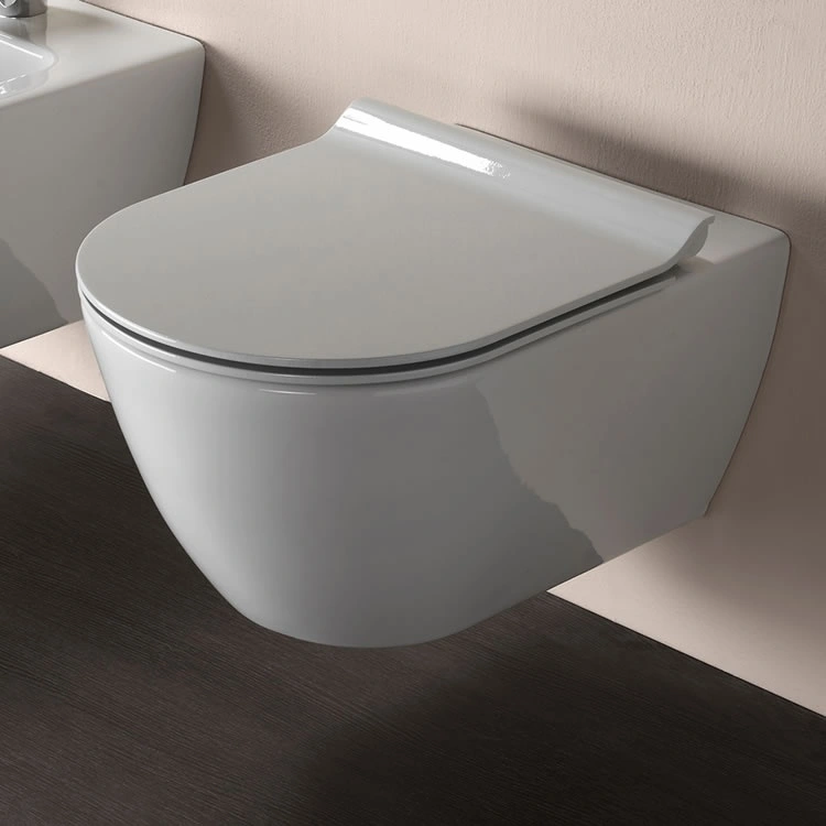 GSI Pura 50 Rimless Wall Hung Toilet & Soft Close Seat