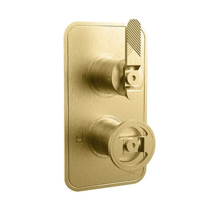 Crosswater Union Brushed Brass Lever Shower Valve Single Outlet