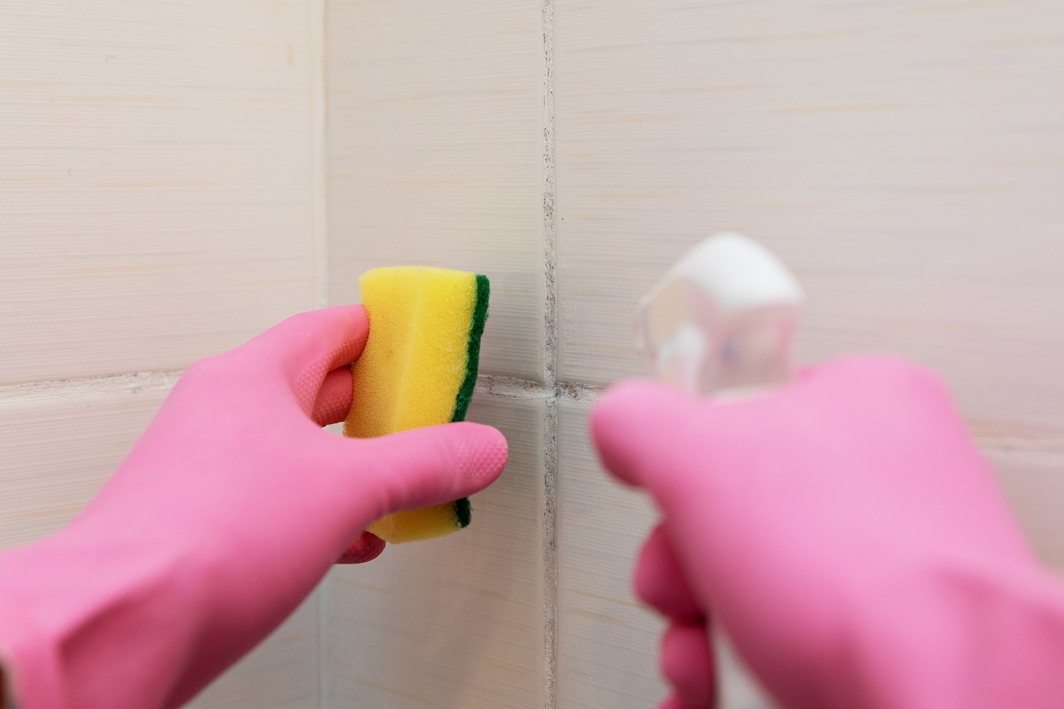 Close up image of someone wearing pink rubber gloves cleaning their bathroom tiles with a sponge and spray bottles