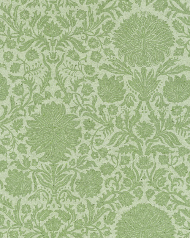 Close up image of pale green botanical print wallpaper