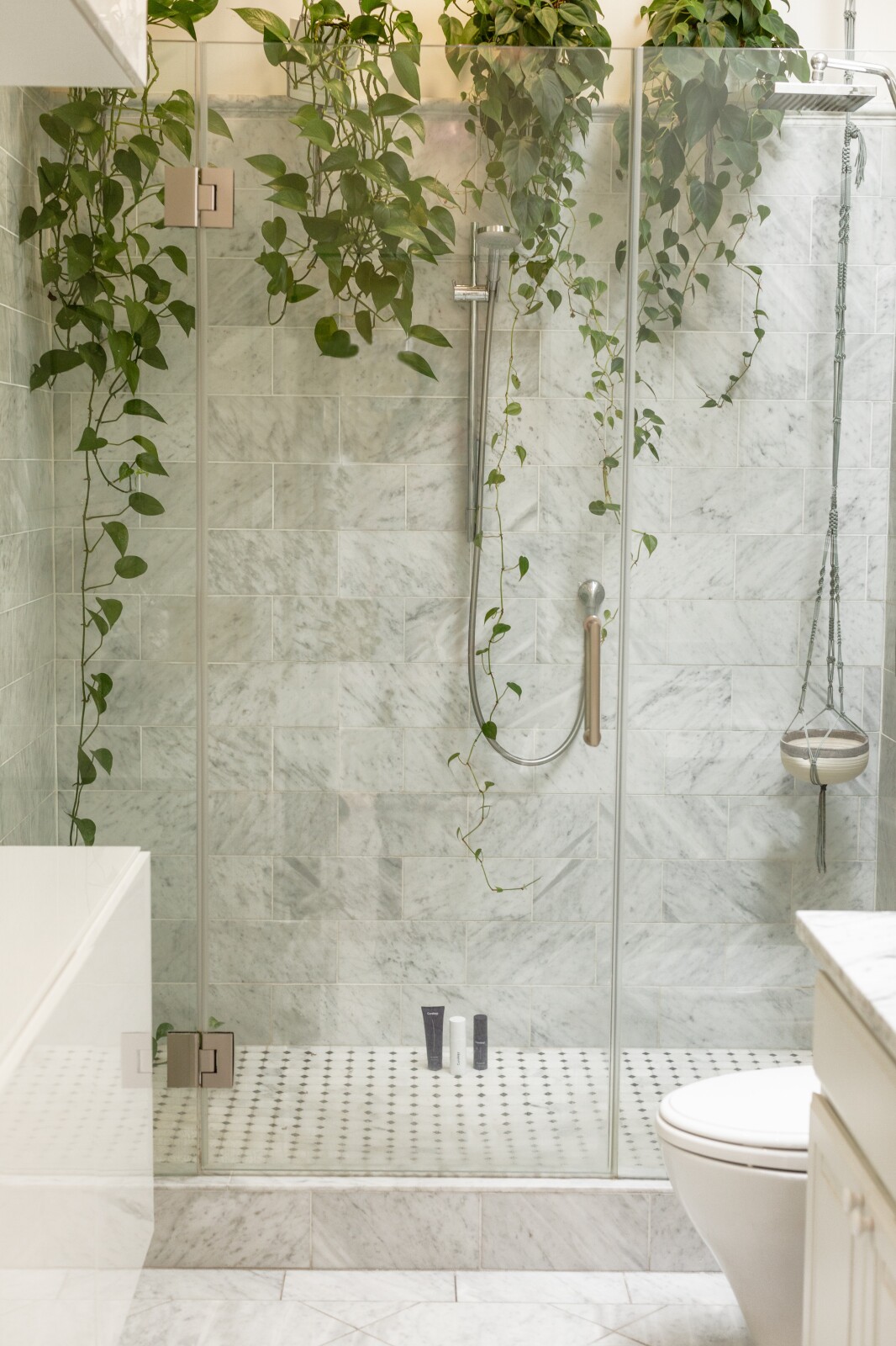 Product Lifestyle image of a shower enclosure featuring hanging foliage