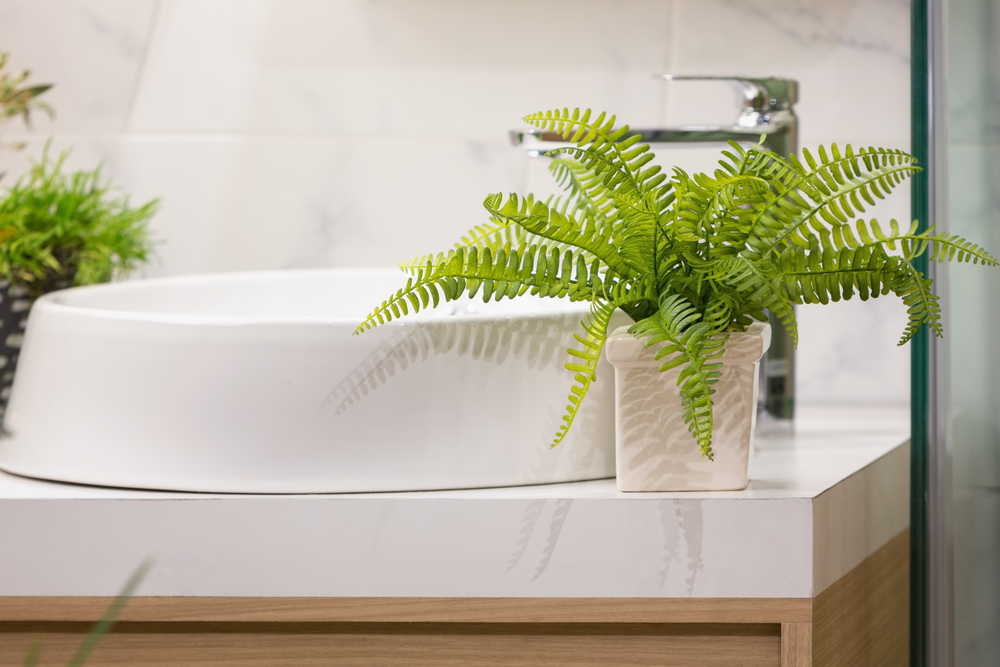 Lifestyle image of a potted fern plant on a bathroom cabinet countertop next to a basin