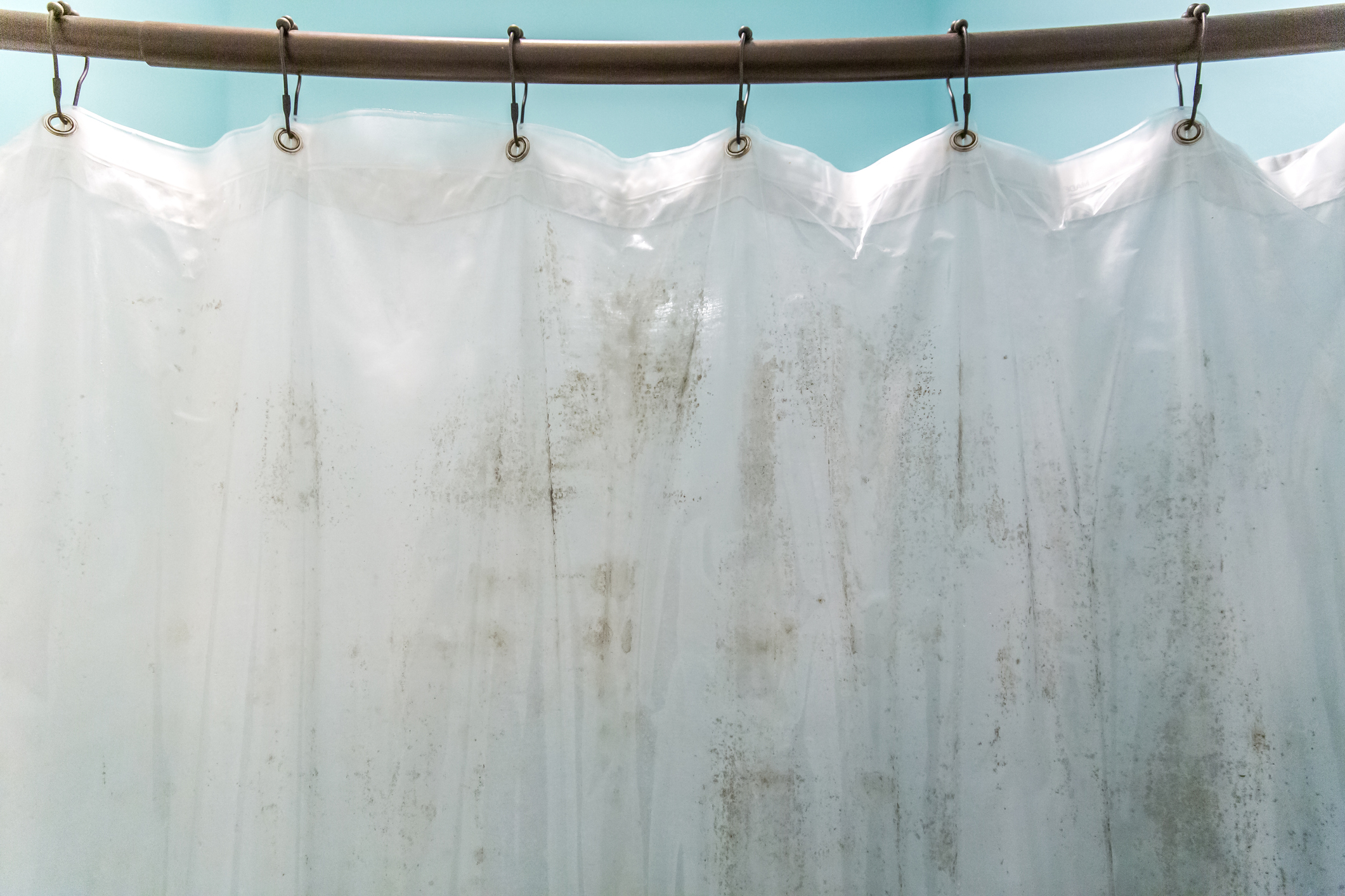 Close up image of a mouldy shower curtain