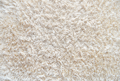 Close up image of white carpeted bathroom flooring