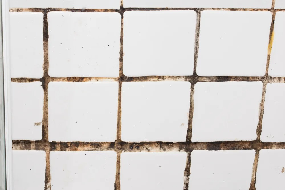 Lifestyle image of a tiles with black mould
