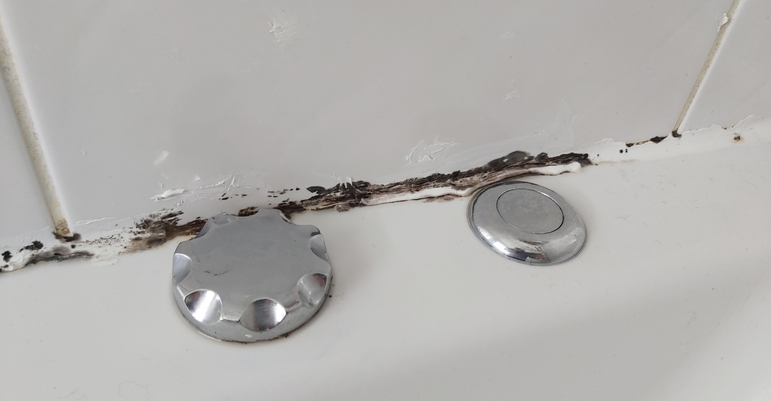 Bathroom mould on the side of a bathtub