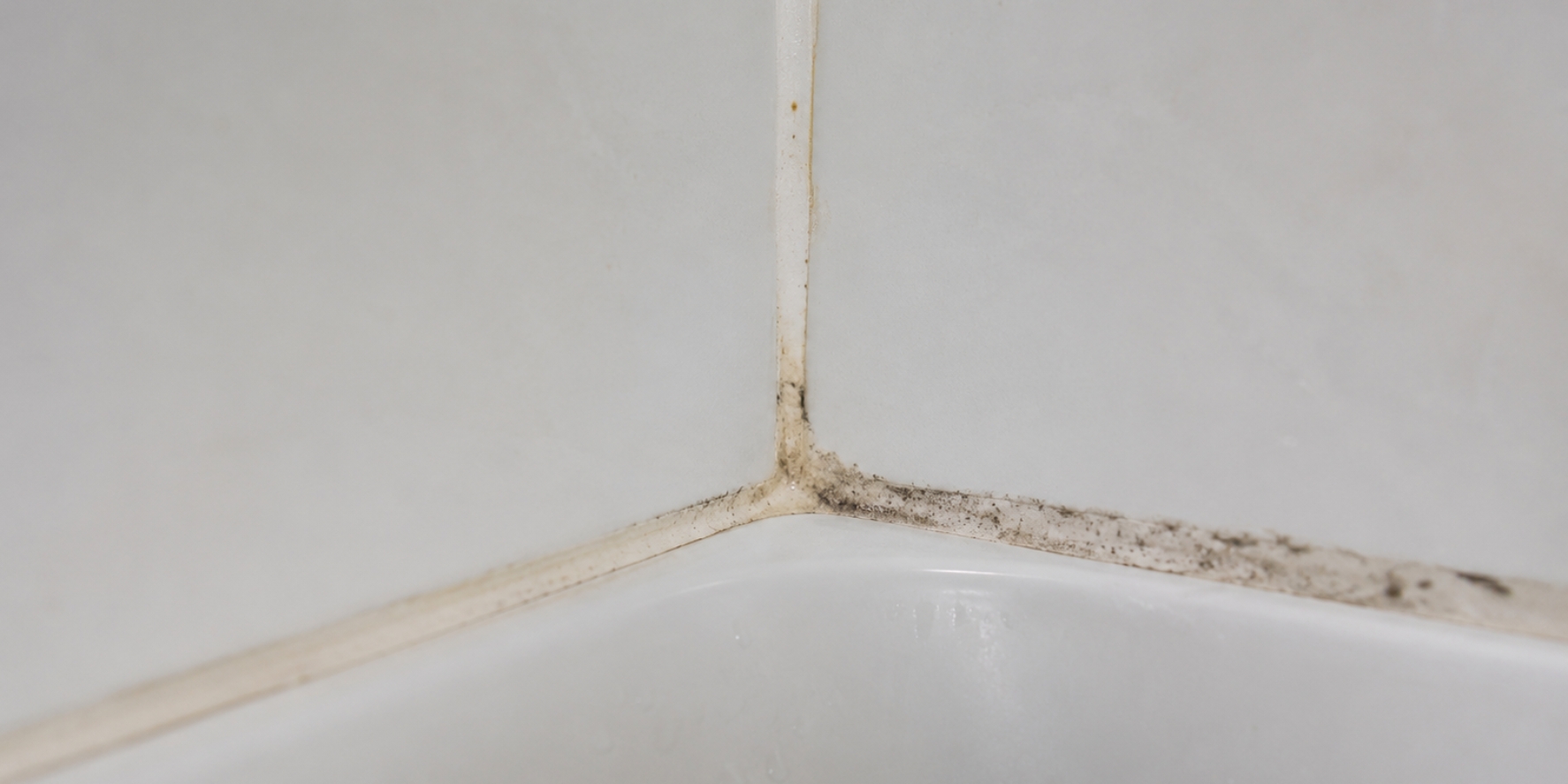 bathroom mould on the corner of a bathtub