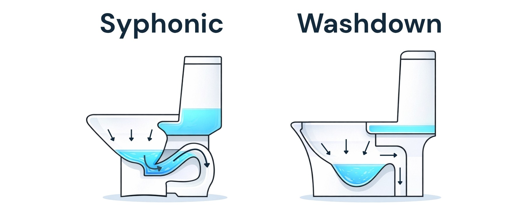 Illustration showcasing the difference between a syphonic and a washdown toilet