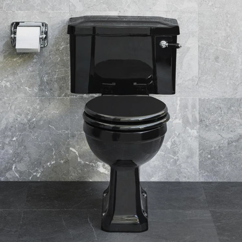 Lifestyle image of the Burlington Jet Standard Black Close Coupled Toilet
