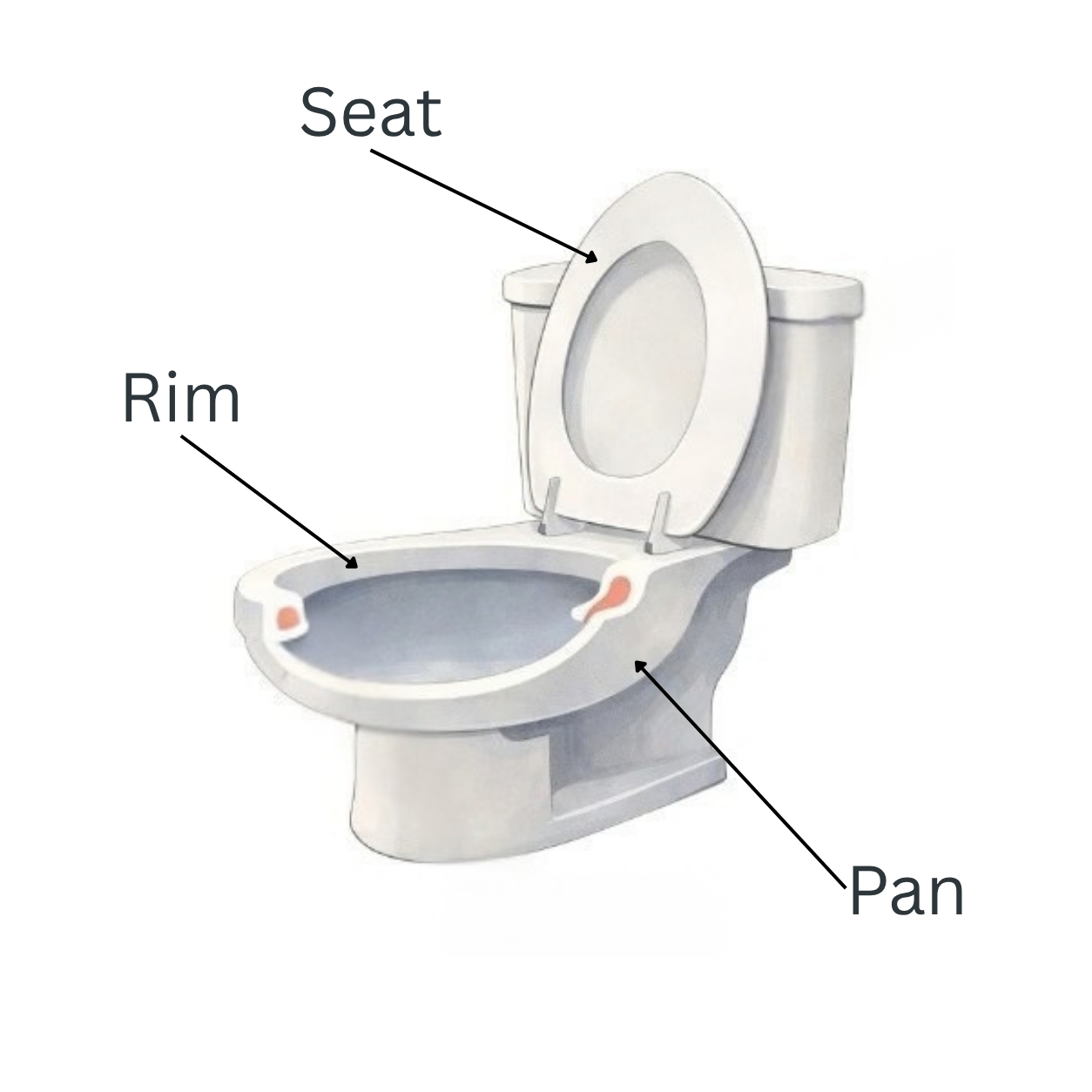 Illustration showing common toilet parts