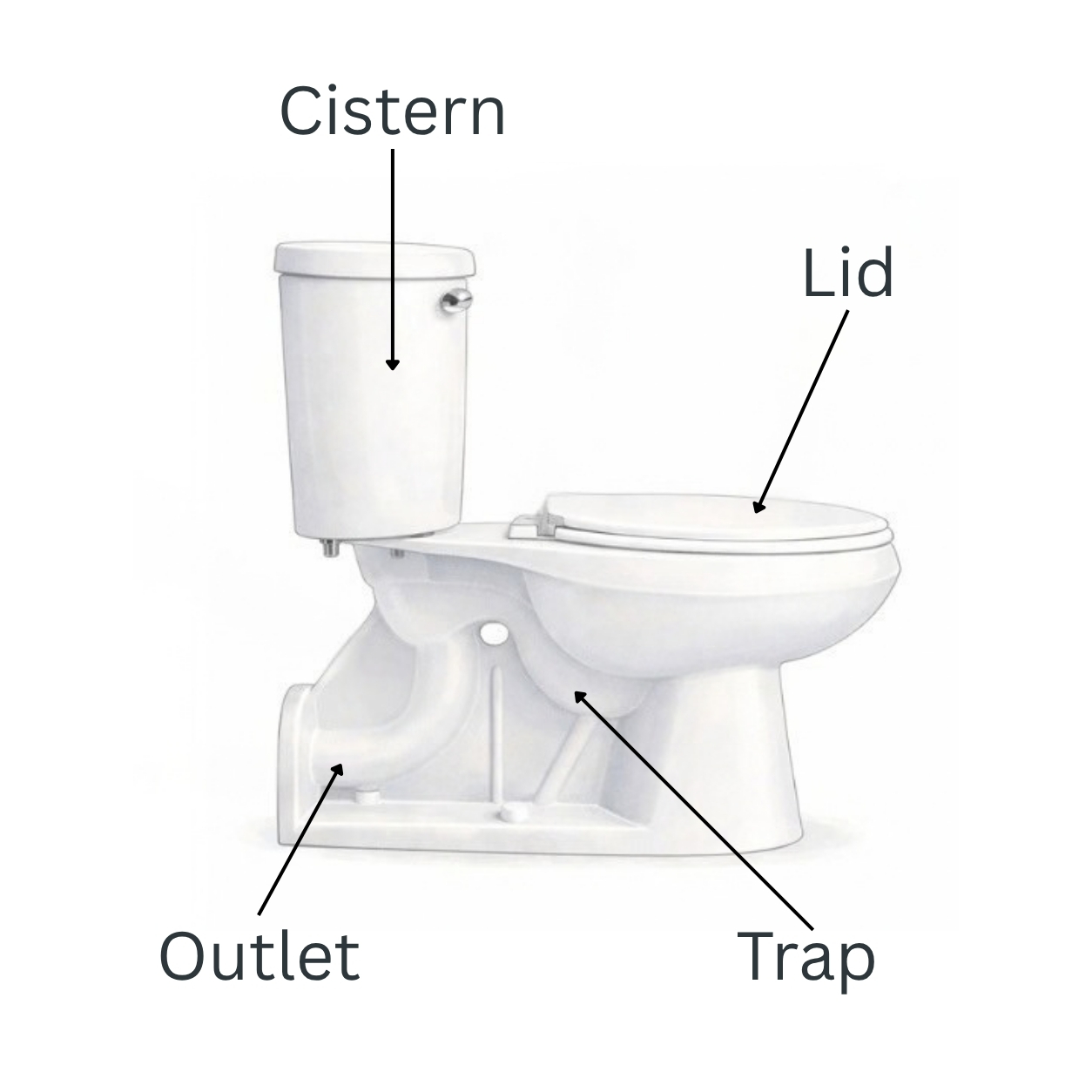 Illustration showing common toilet parts