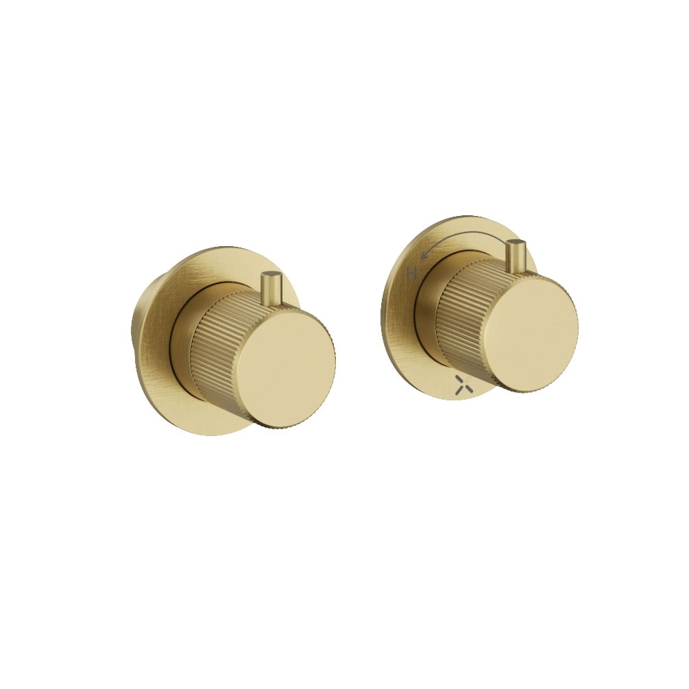 Cutout image of Crosswater Module 3ONE6 Stainless Brushed Brass Dual Outlet Shower Valve