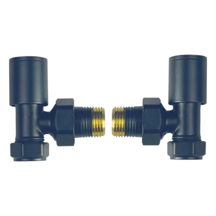 Cutout image of Radox Circulus Black Angled Valves