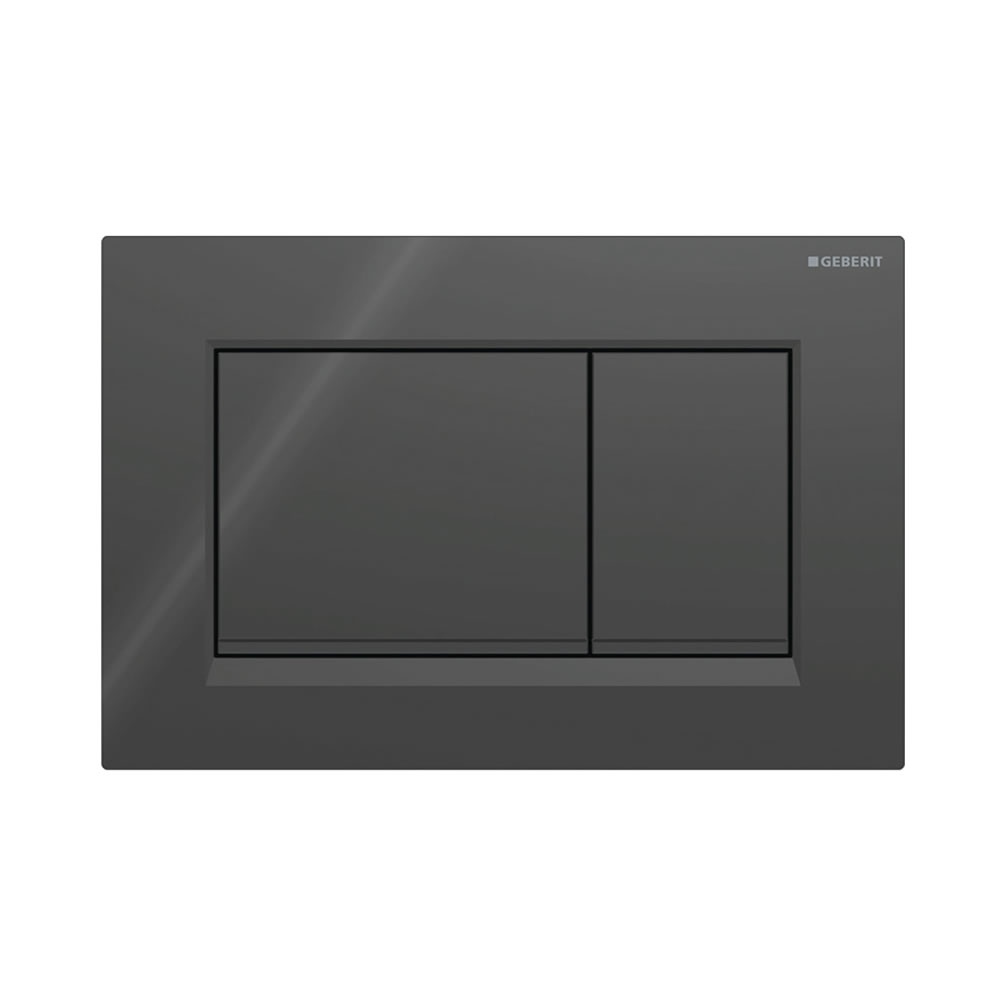 Cutout image of Geberit Sigma20 Black / Matt Black Dual Flush Plate