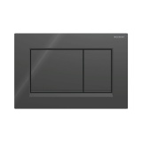 Cutout image of Geberit Sigma20 Black / Matt Black Dual Flush Plate