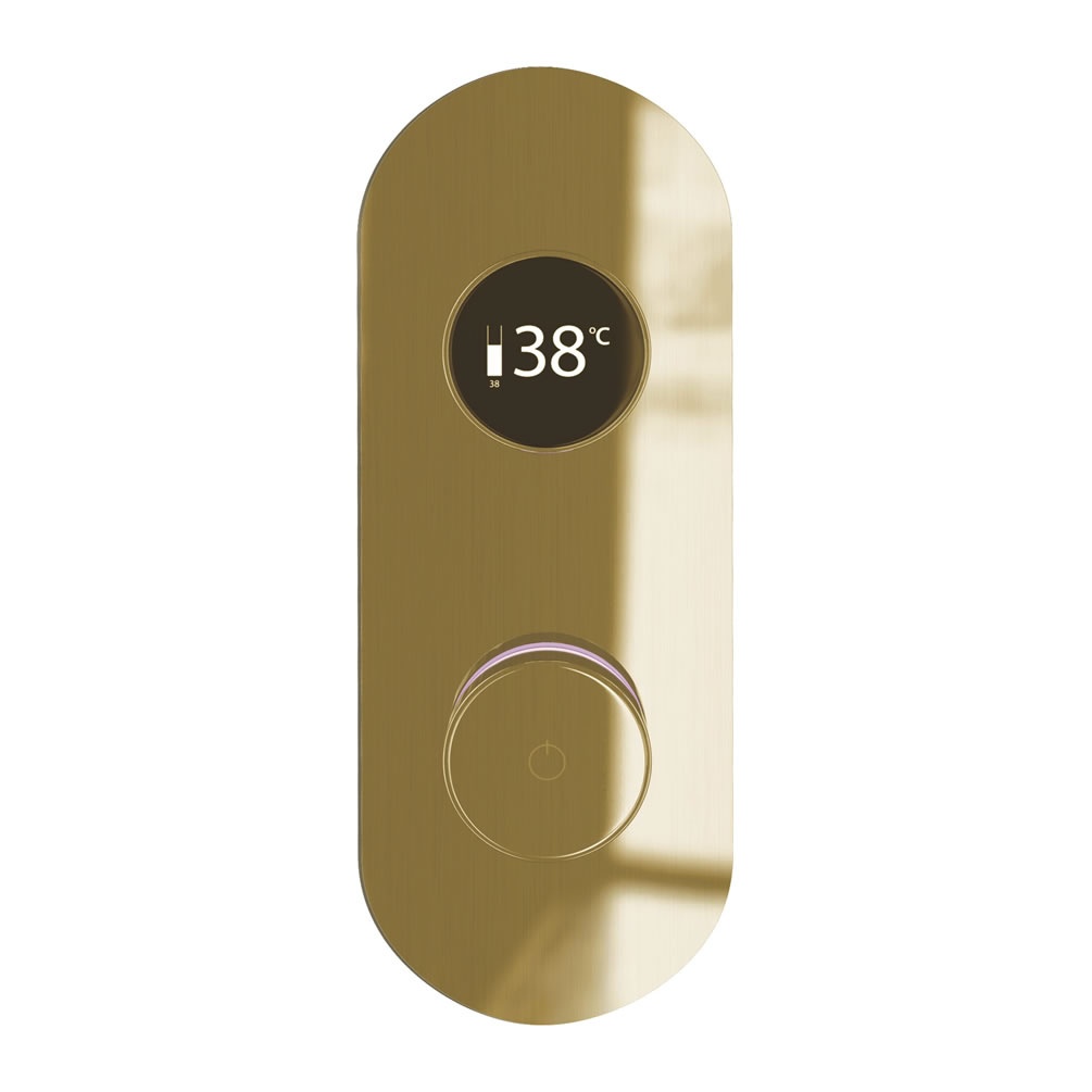 Cutout image of TED TOGO Brushed Brass Oval Dual / Triple Outlet Digital Shower Valve
