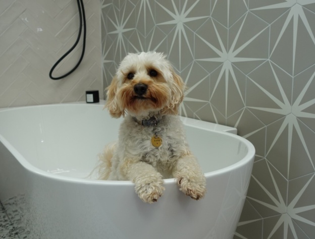 Photograph of Beau, Sanctuary Bathrooms' Head of Barketing in Shower Bath