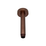 Cutout image of TED Brushed Bronze Ceiling-Mounted Shower Arm