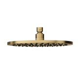 Product cut out image of the Abacus Emotion Brushed Brass Round Fixed Shower Head TBTS-414-5025
