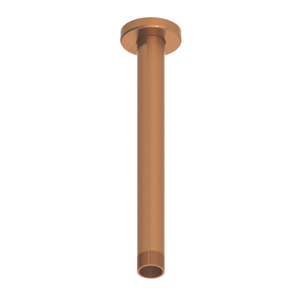 Product Cut out image of the Abacus Emotion Brushed Bronze Round 250mm Fixed Ceiling Shower Arm