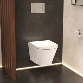 Imex Wall Hung Toilets