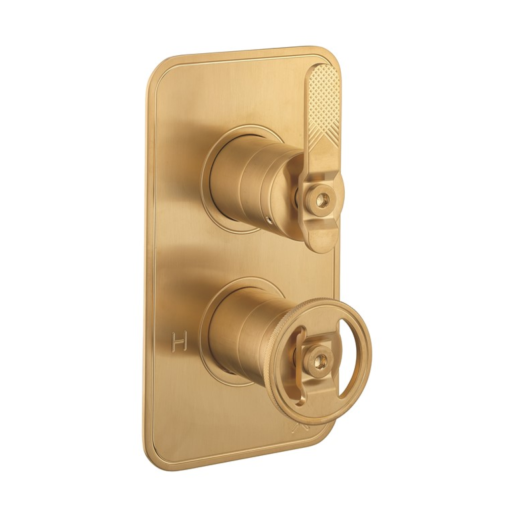 Photo of Crosswater Union Brushed Brass 2 Outlet 2 Handle Concealed Shower Valve Cutout