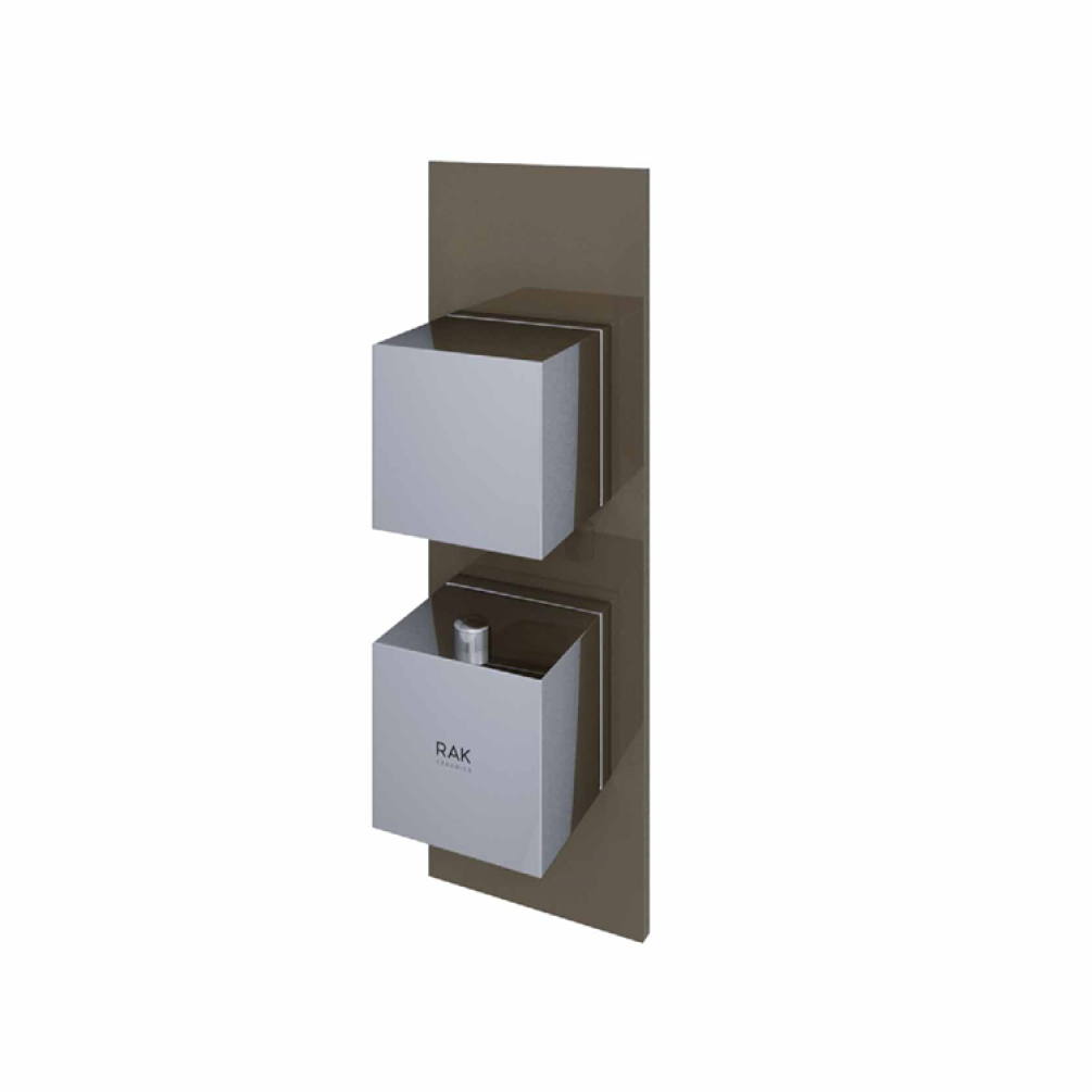 Photo of RAK Feeling Square Single Shower Valve in Cappuccino