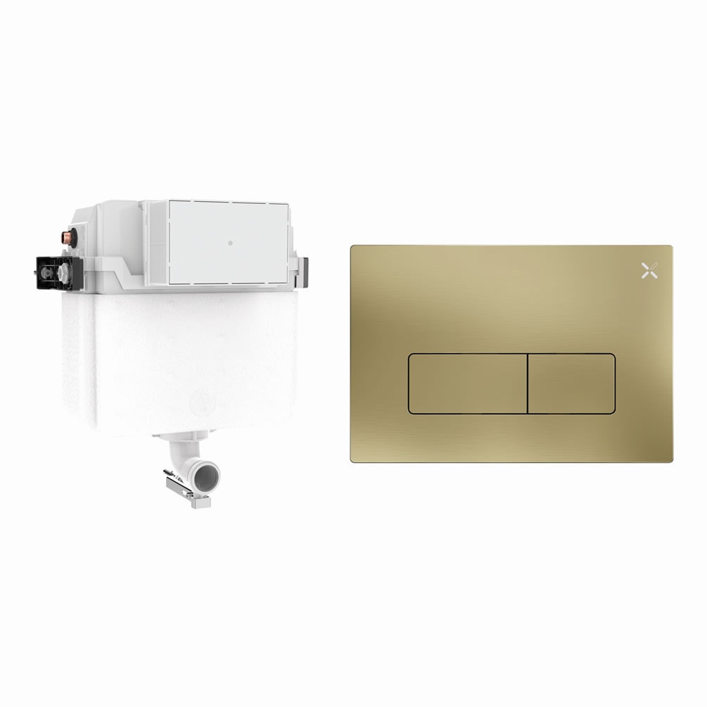 Cutout image of Crosswater 460mm Concealed Back-to-Wall Cistern & MPRO Brushed Brass Dual Flush Plate