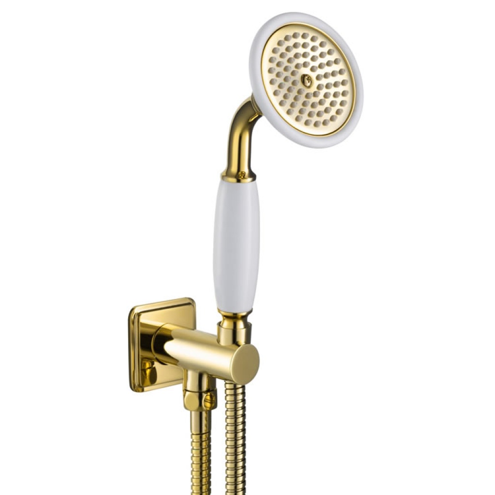 JTP Grosvenor Polished Gold Shower Handset, Holder & Hose