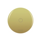 Cutout image of TED Brushed Brass Wireless Shower Activation Button