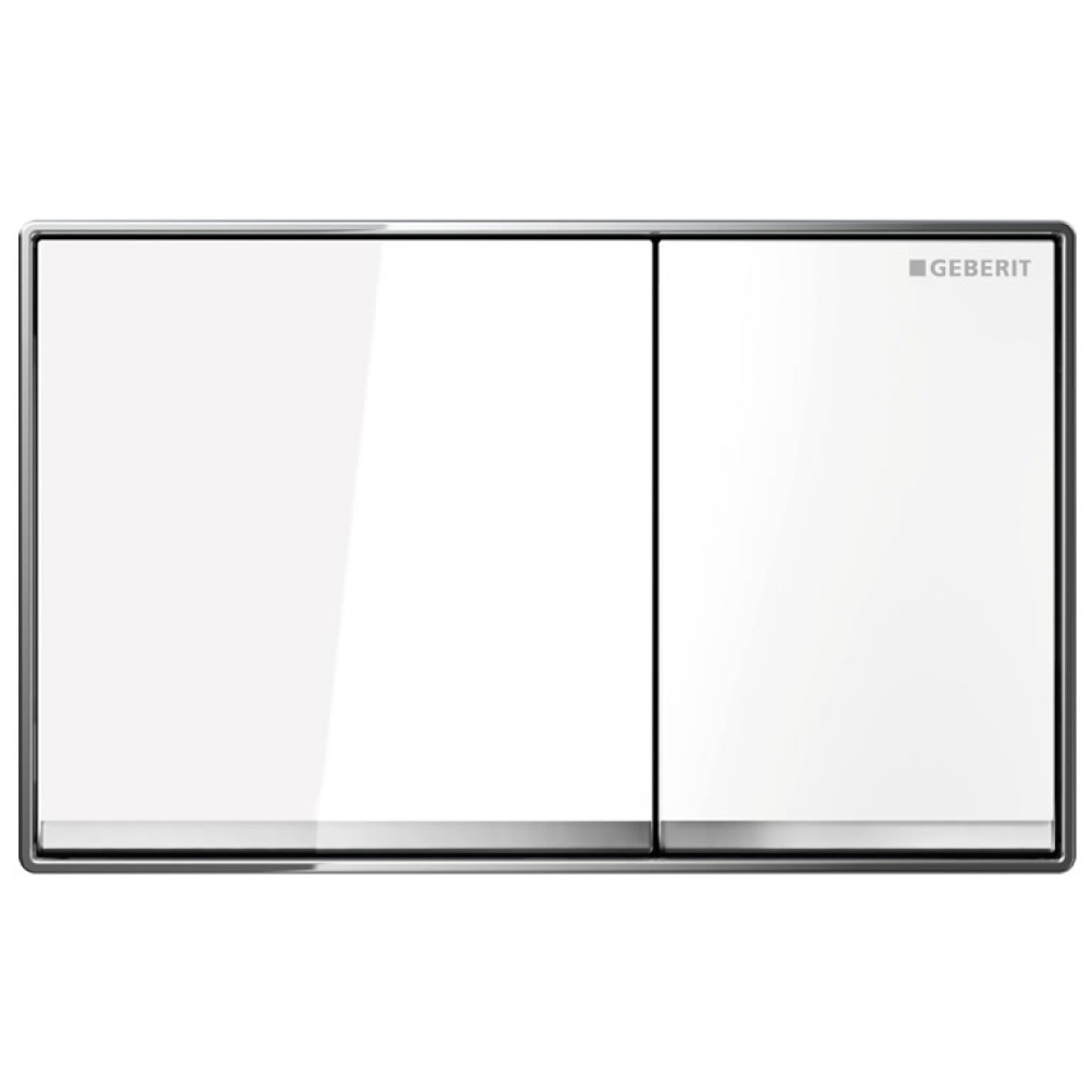 Cutout image of Geberit Omega60 Dual Flush Plate White Glass