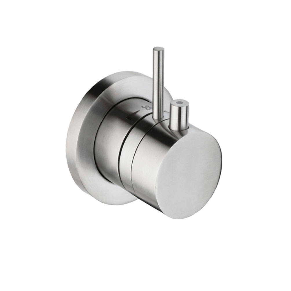 Photo of JTP Inox Brushed Stainless Steel Single Outlet Mixer Valve Cutout
