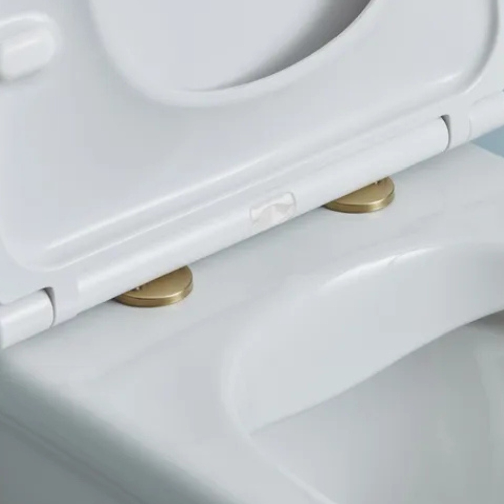 Lifestyle image of the Tavistock Brushed Brass Wrap Over Toilet Seat Hinge Cover Caps