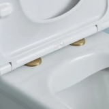 Lifestyle image of the Tavistock Brushed Brass Wrap Over Toilet Seat Hinge Cover Caps