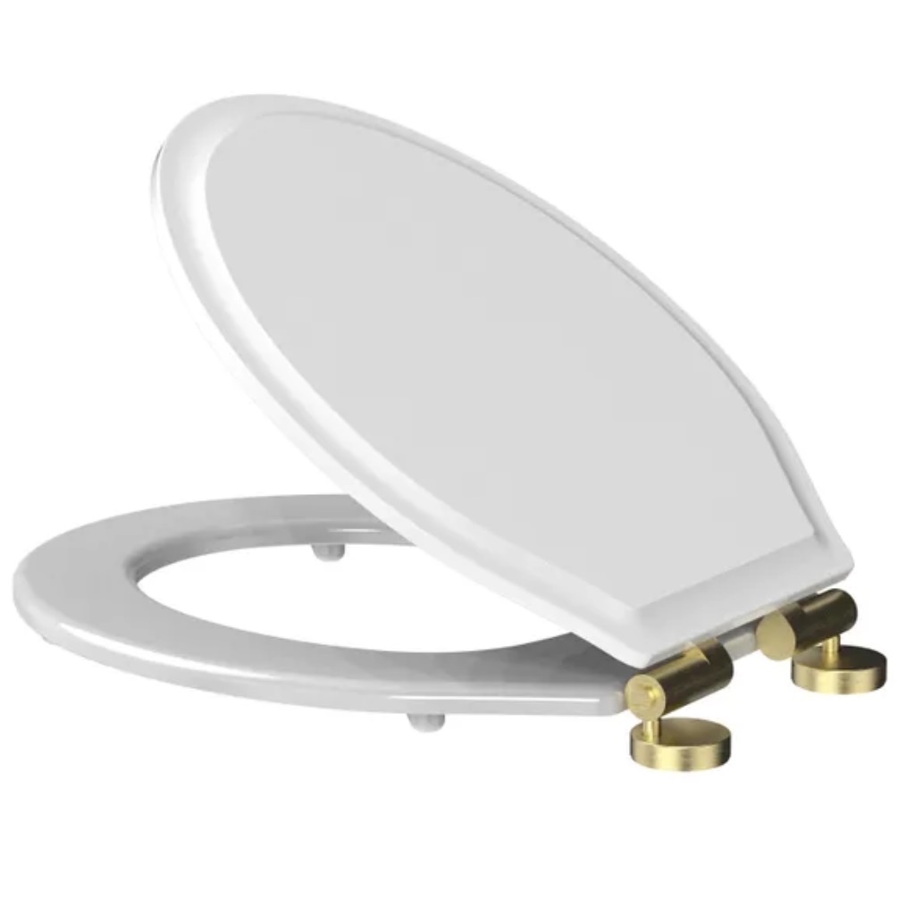 product cut out image from above of Tavistock Matt White Painted Soft Close Toilet Seat with Brushed Brass Hinges TS850WSCB-