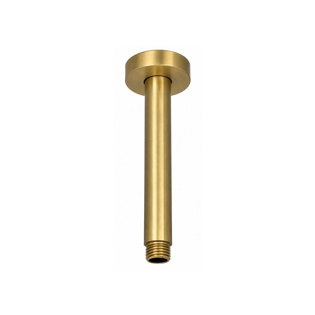 Cutout image of TED Brushed Brass Ceiling-Mounted Shower Arm