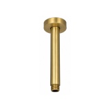 Cutout image of TED Brushed Brass Ceiling-Mounted Shower Arm