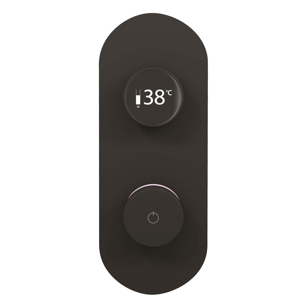 Cutout image of TED TOGO Matt Black Oval Dual / Triple Outlet Digital Shower Valve