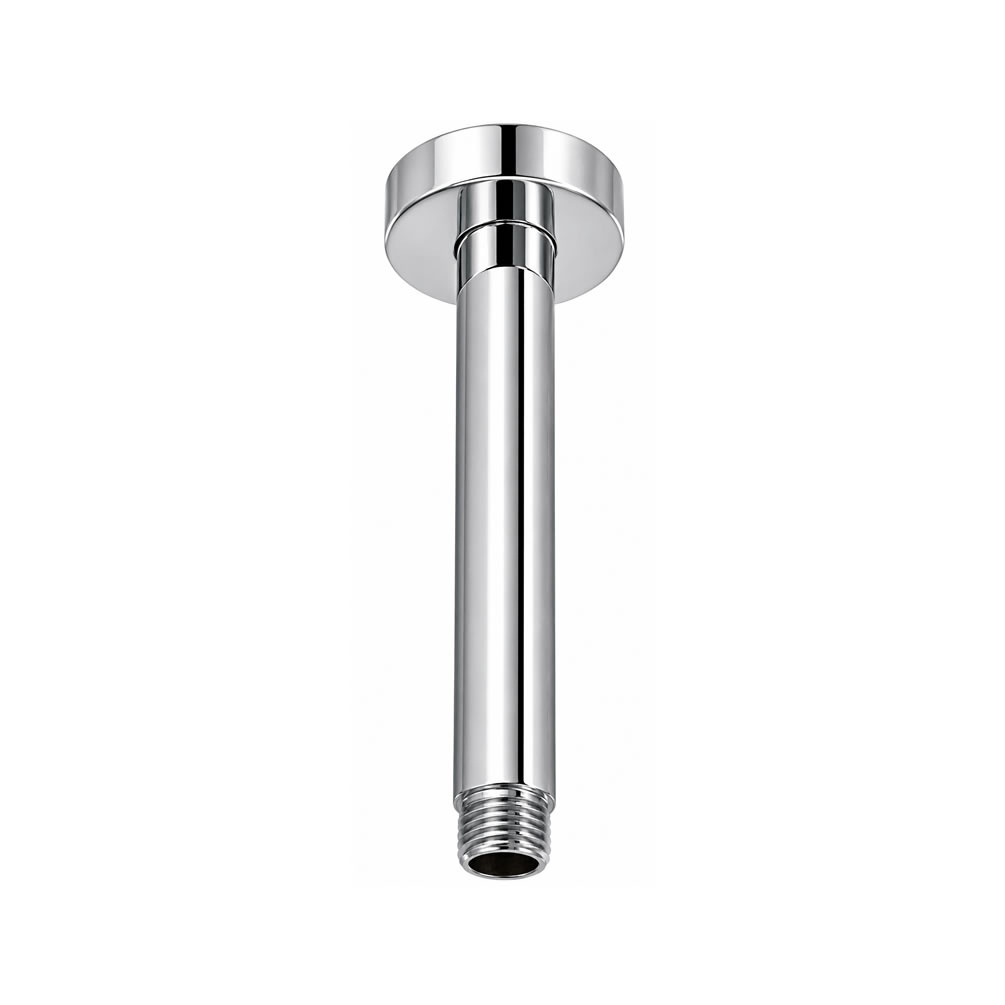 Cutout image of TED Chrome Ceiling-Mounted Shower Arm