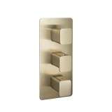 Photo of JTP Hix Brushed Brass Portrait Twin Outlet Thermostatic Shower Valve Cutout