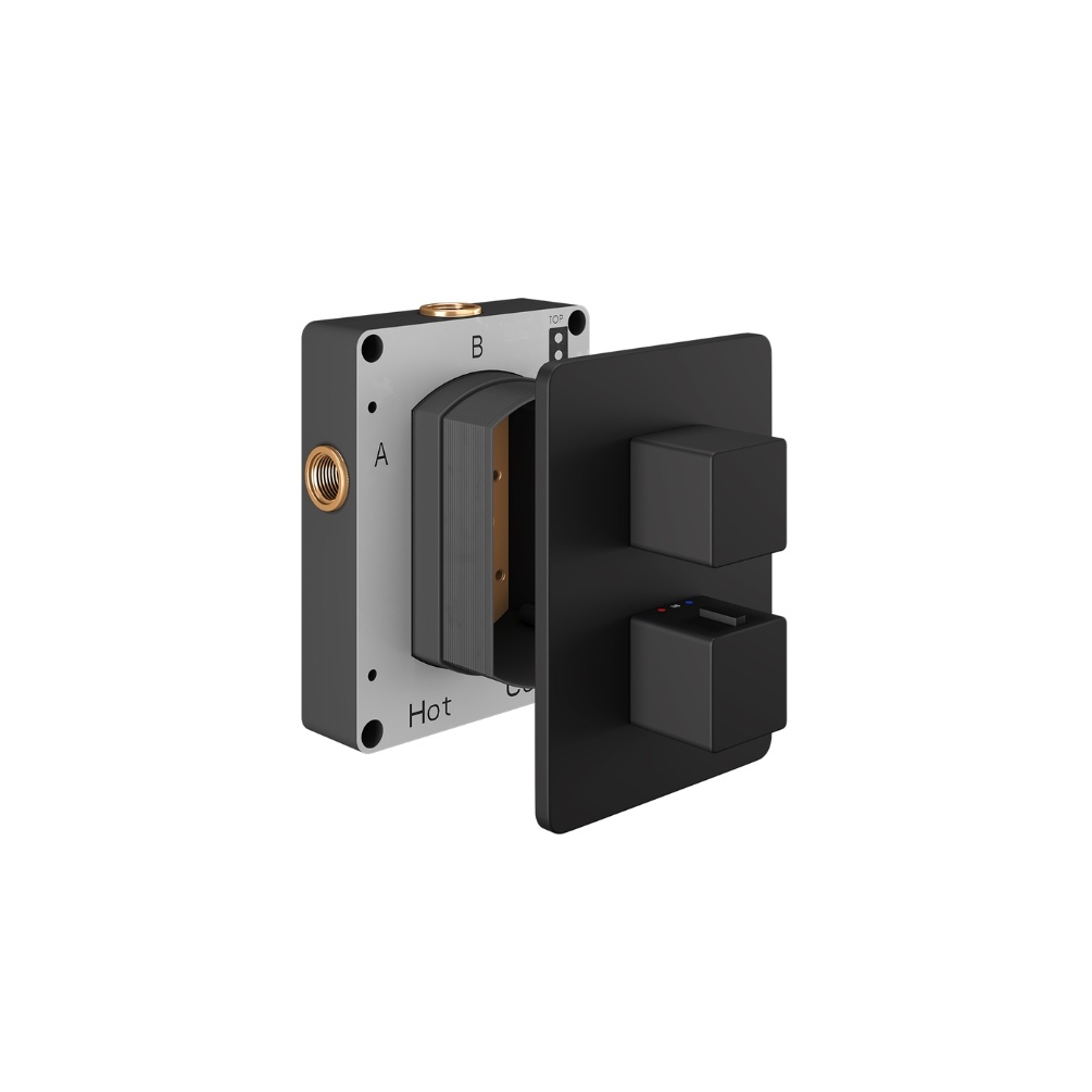 Product Cut out image of the Abacus Square Matt Black 1 Outlet 2 Handle Thermostatic Shower Valve