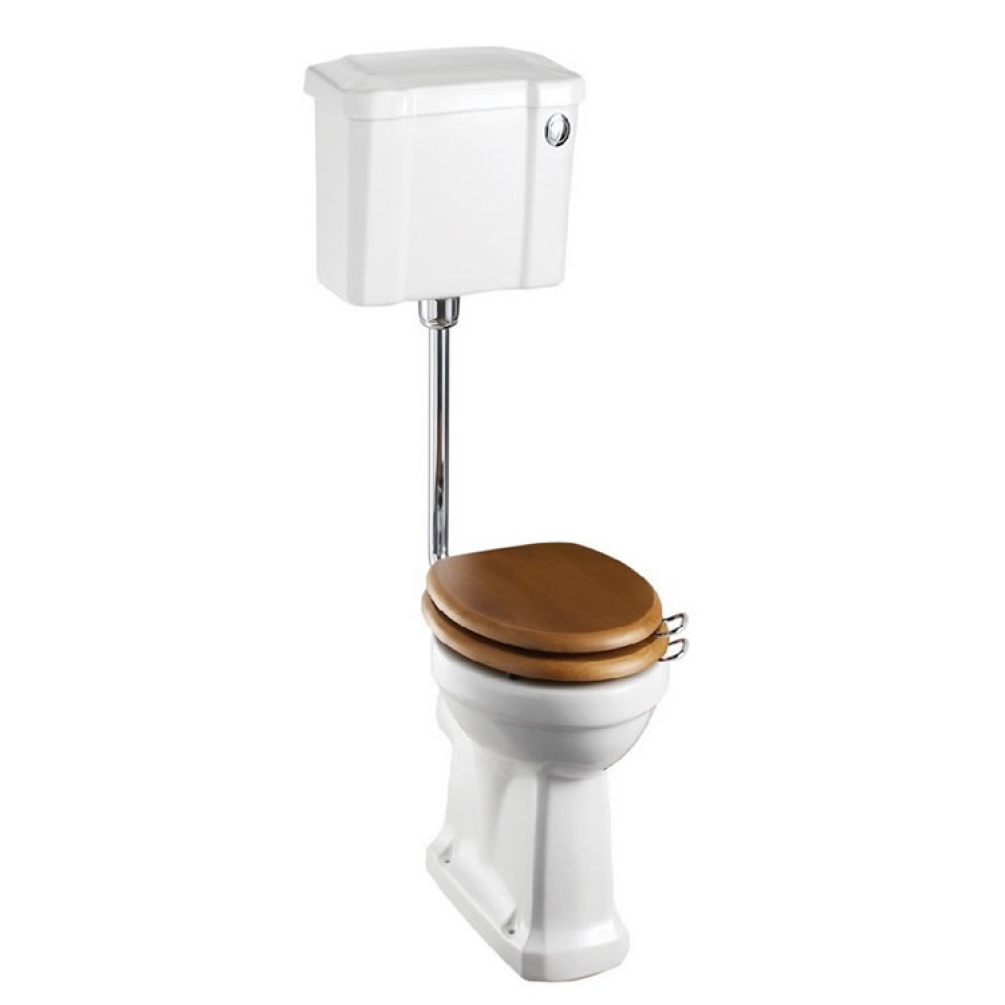 Product Cut out image of the Burlington Rimless Medium Level Toilet with Push Button