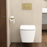 Imex Brushed Brass Square Button Mechanical Dual Flush Plate Lifestyle