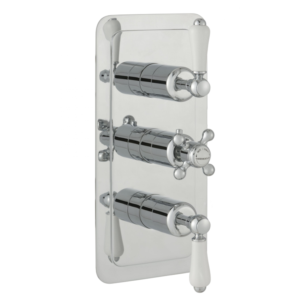 Photo of JTP Grosvenor Lever Two Outlet Portrait Thermostatic Shower Valve - White Lever Cutout