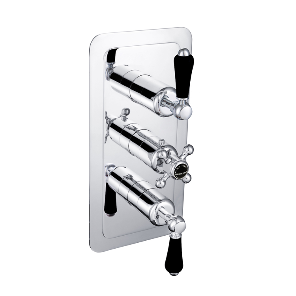 Photo of JTP Grosvenor Lever Two Outlet Portrait Thermostatic Shower Valve - Black Lever