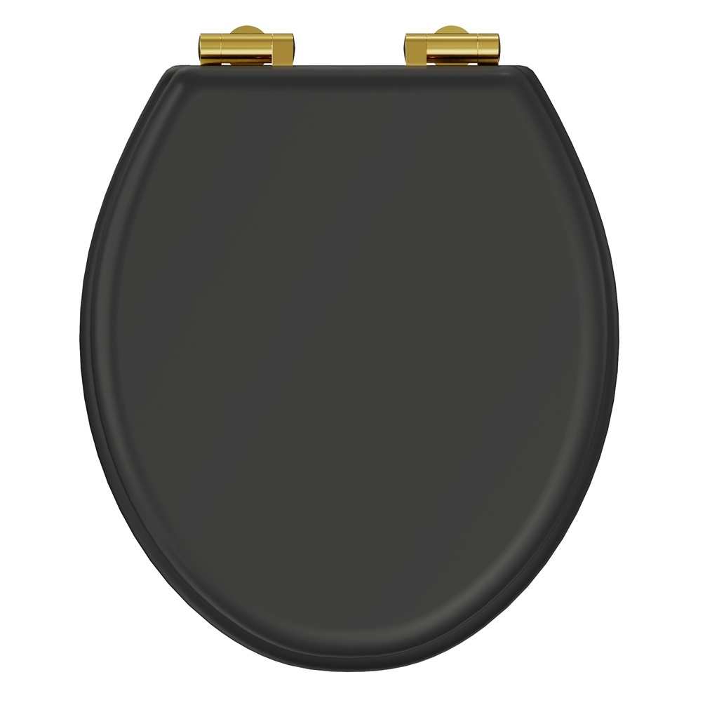 Product cut out image of burlington guild ashbee grey soft close toilet seat with gold hinges GU6105AG GUHGG