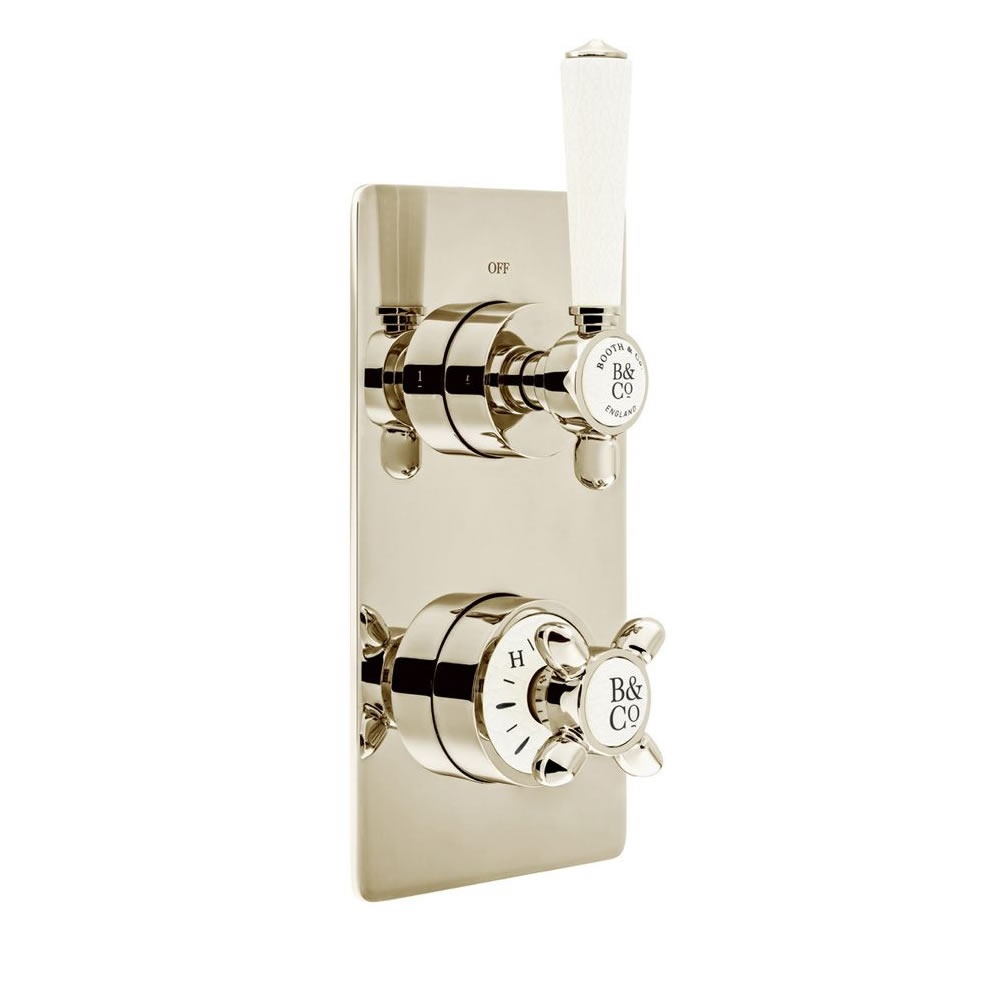 Booth & Co. Axbridge Nickel 1 Outlet 2 Handle Thermostatic Shower Valve