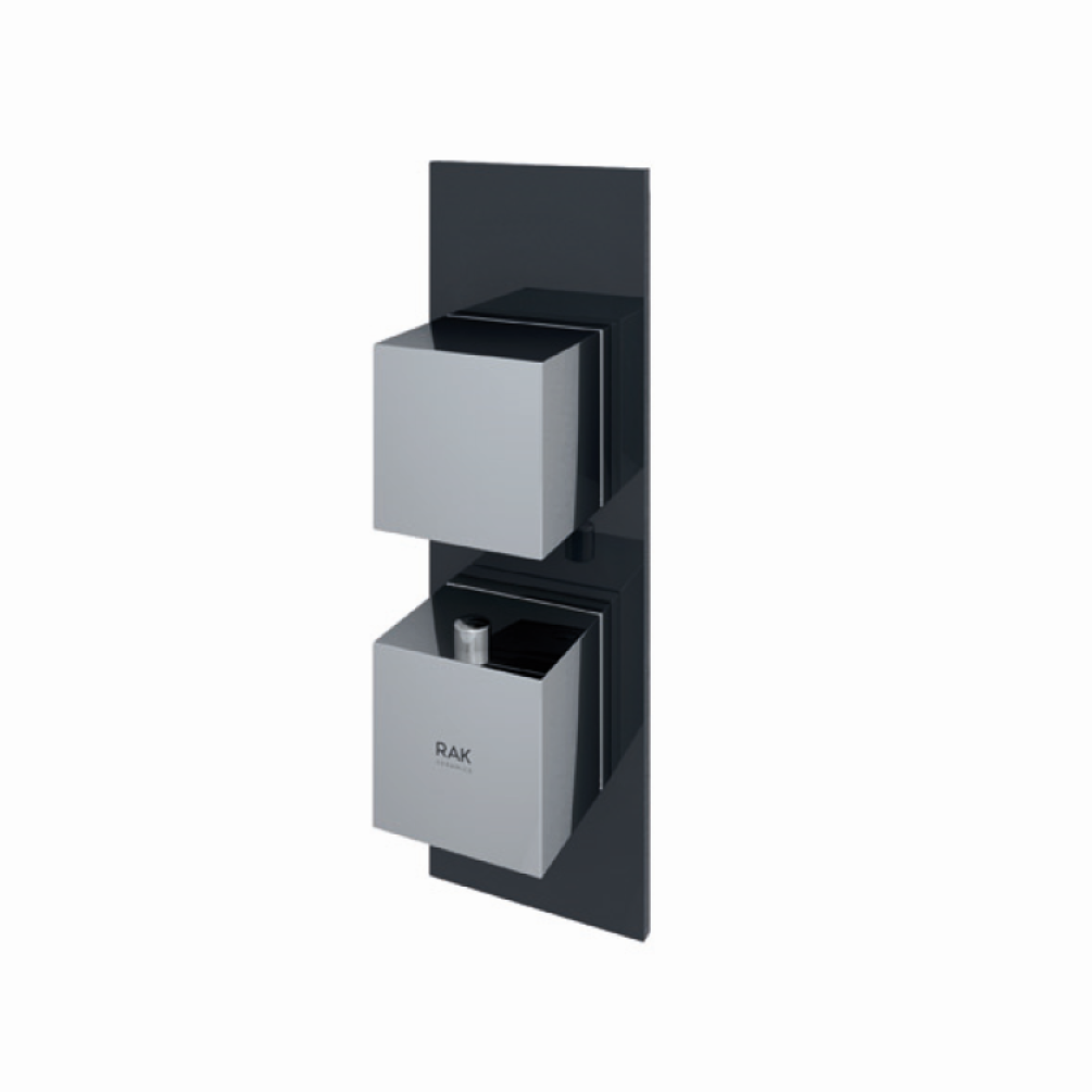 Photo of RAK Feeling Square Single Shower Valve in Black