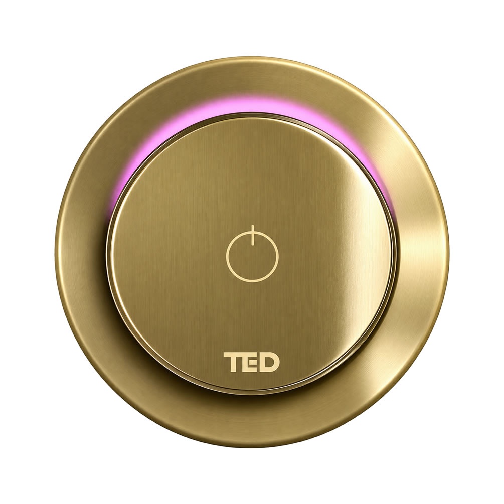 Cutout image of TED TOGO Brushed Brass Single Outlet Digital Shower Valve