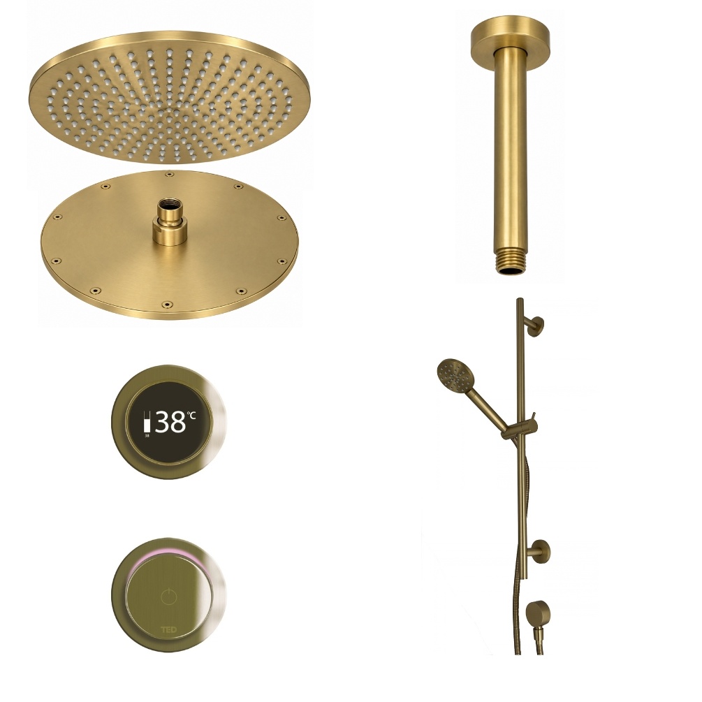 Ted Togo Brushed Brass Ring Valve Ceiling Arm